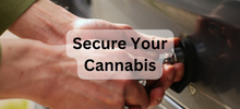 Secure Your Cannabis