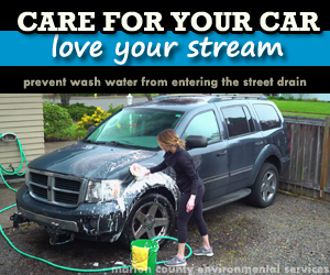 Google_CarWash_300x250.png