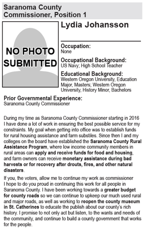 candidatestatementexample.png