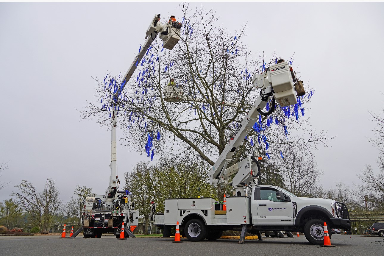 Blue Ribbon Tree 1.jpg