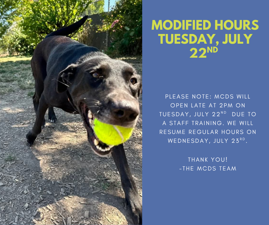 Shelter Hours 7.22.png