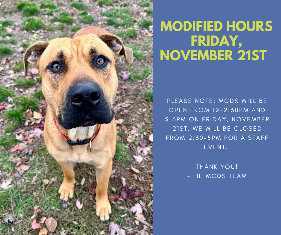 Closure 11.21.25.png