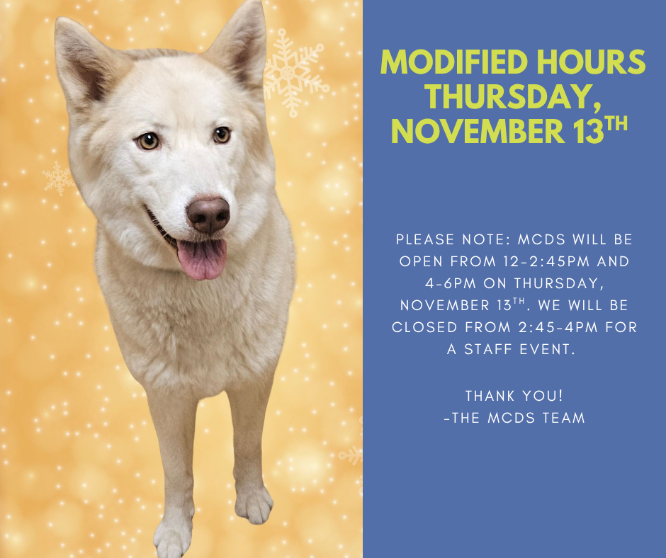 Modified Hours 11.13.png
