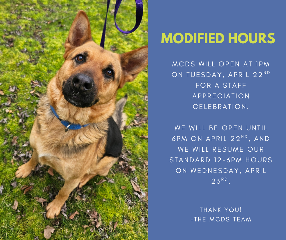 Modified Hours 4.21.png