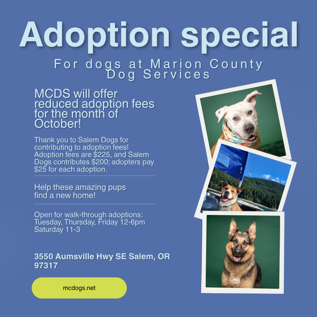 October Adoption Special.png