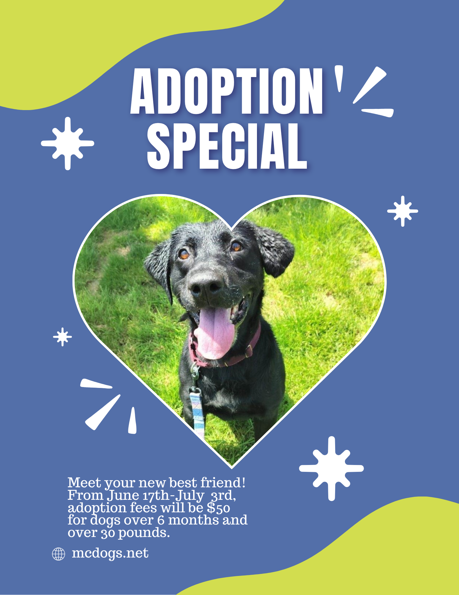 Blue and White Vibrant Doodle Pet Adoption Flyer.png