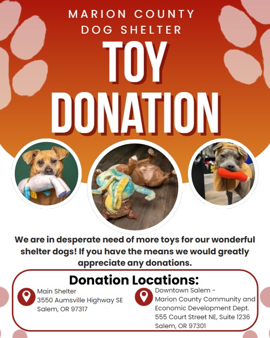 Dog Toy Donations.jpg