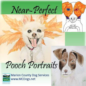 Near-Perfect Pooch Portraits.jpg