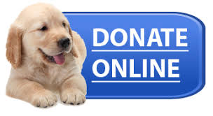 Donate Online