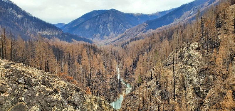 wildfire little north santiam canyon