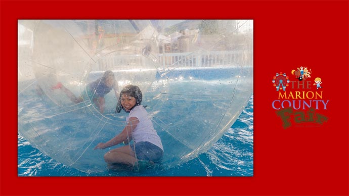 Marion County Fair - inflatable ball on water ride