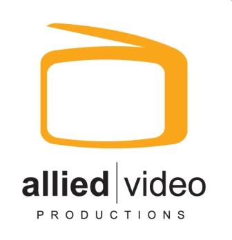 AVP Ver Logo 2008 orange 2 sg.jpg