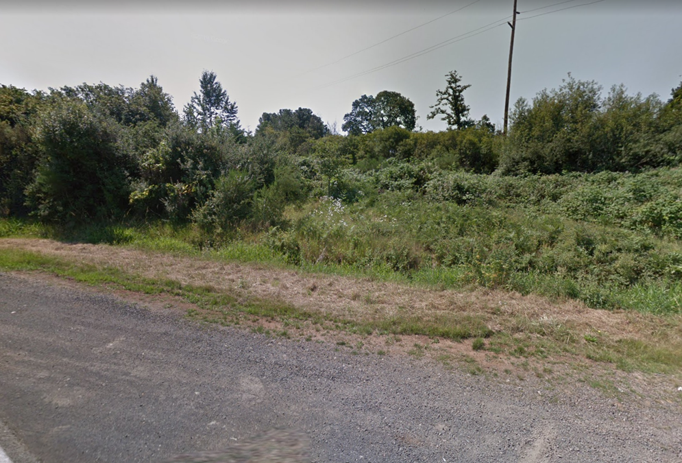 Fern Ridge Road View.png