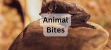 Animal Bites