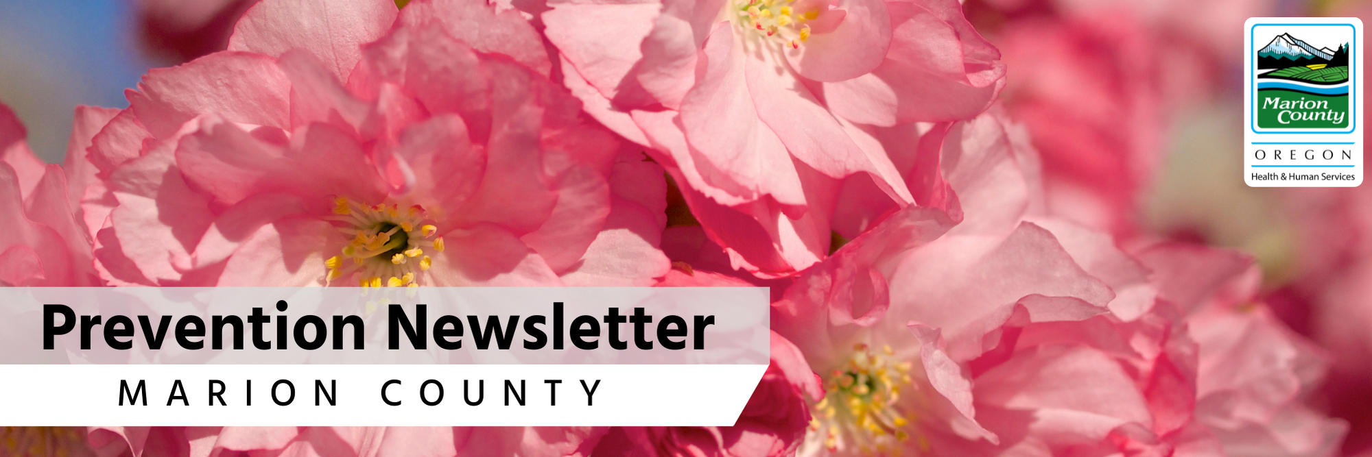 Prevention Newsletter Cover Photo.png