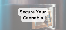 Close-up of a small safe with cannabis products stored inside, with the text "Secure Your Cannabis" displayed.
