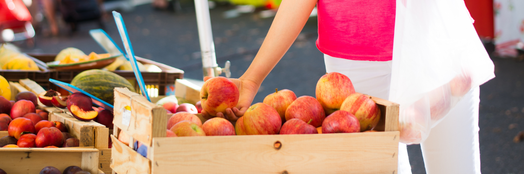 Farm Direct Nutrition Program banner