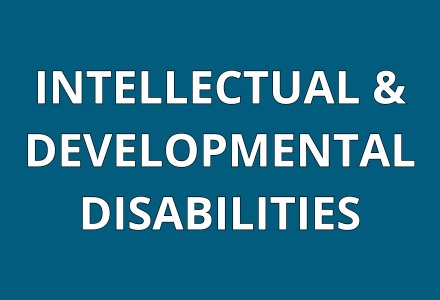 INTELLECTUAL & DEVELOPMENTAL DISABILITIES SERVICES