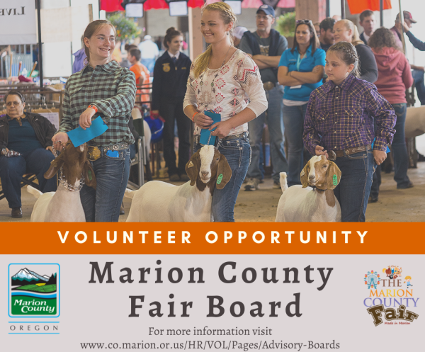 MC Fair Board 2023 FB 2 reduced.png