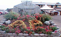 flowers and greenhouse