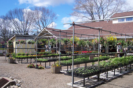 Flower baskets