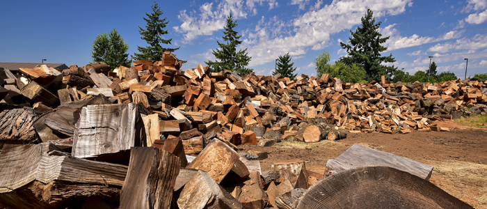 firewood pile