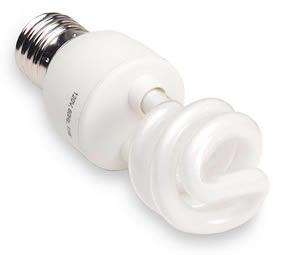 compact fluorescent bulb