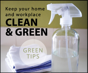 DIY Office Green Cleaners.jpg