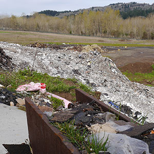Brown's Island Compost & Demolition Site