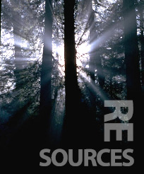 Picture of Trees in a Forest that says "Resources"
