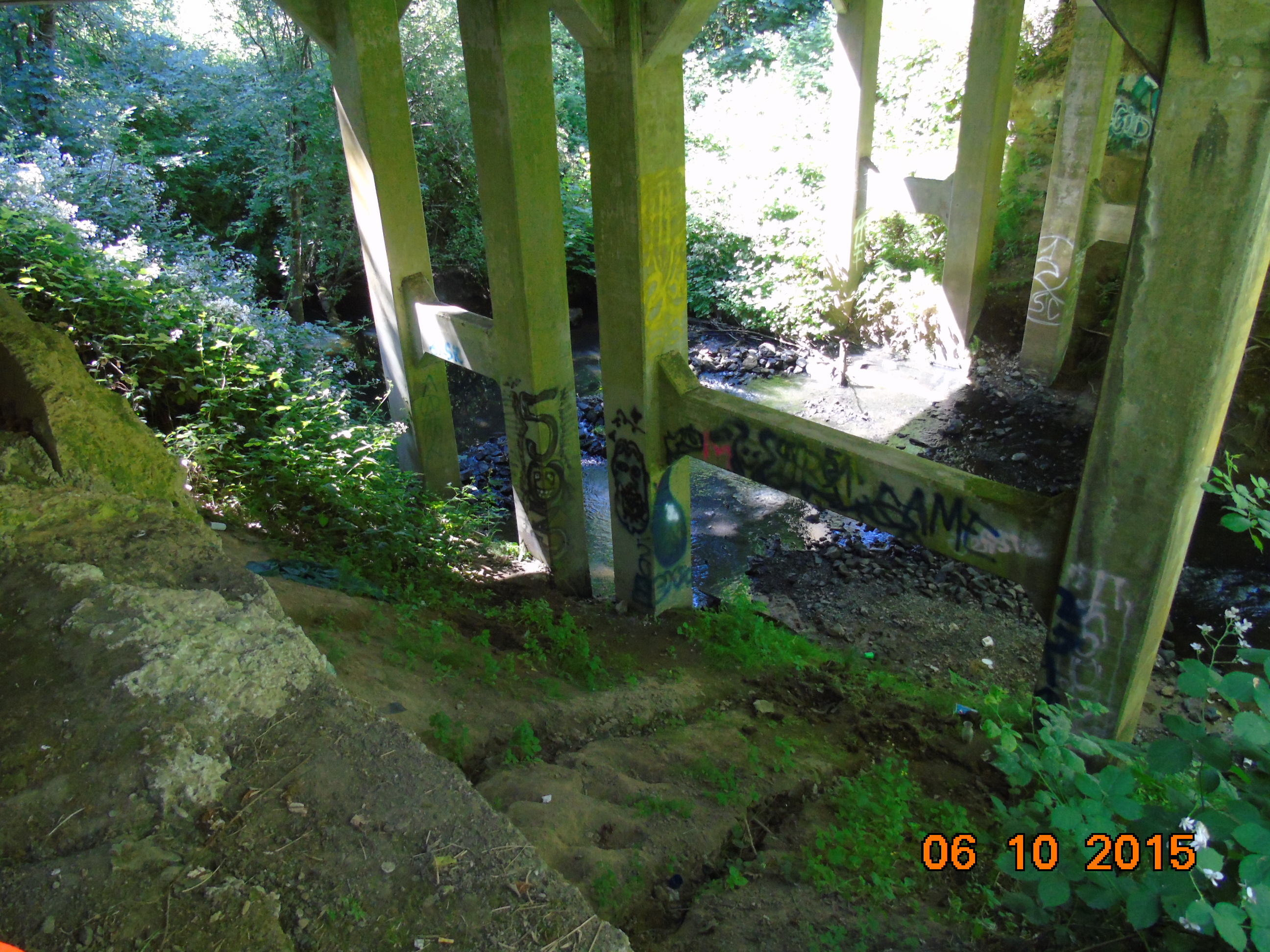Ground under the bridge