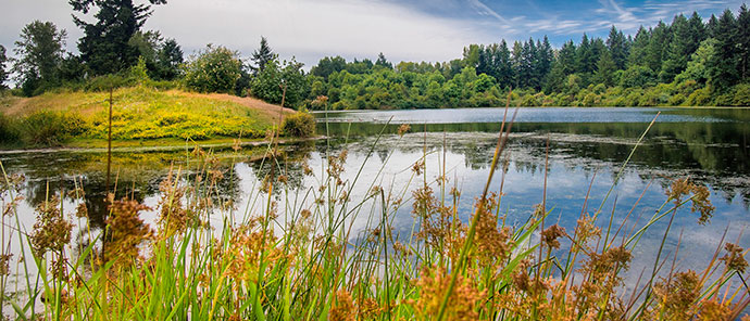 Aumsville Ponds