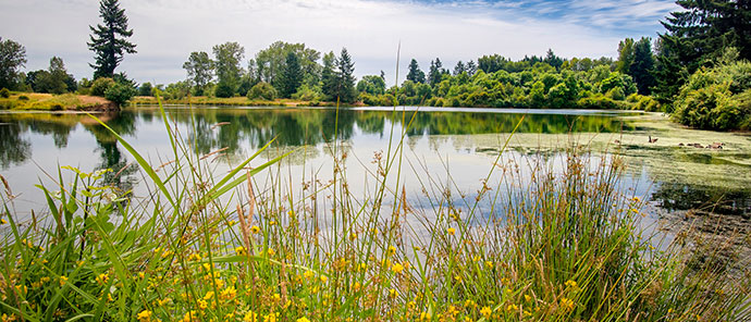 Aumsville Ponds