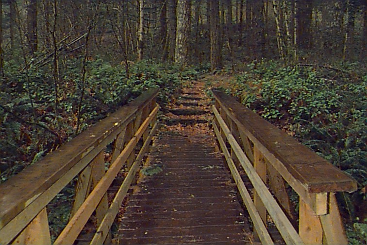 Minto Park path bridge