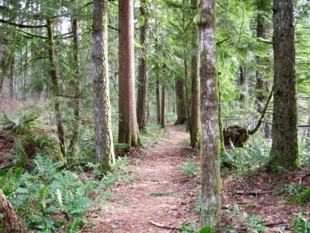 Niagra Park path