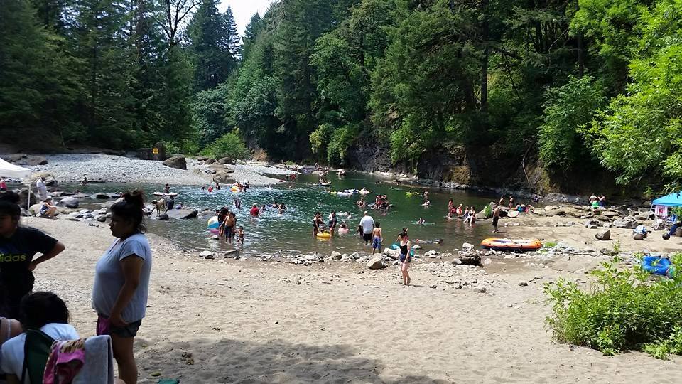 North Fork Park swimming area