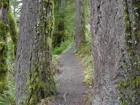 Salmon Falls path