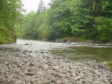 river at bear creek