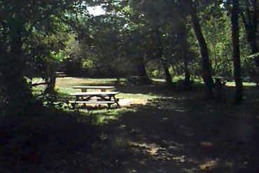 Joryville Park