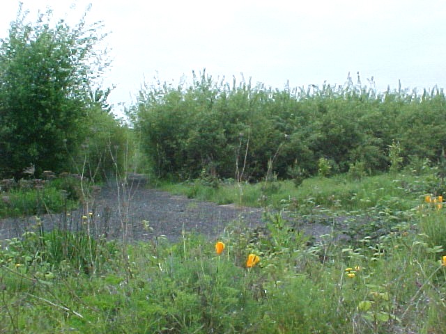 Eola Bend Park