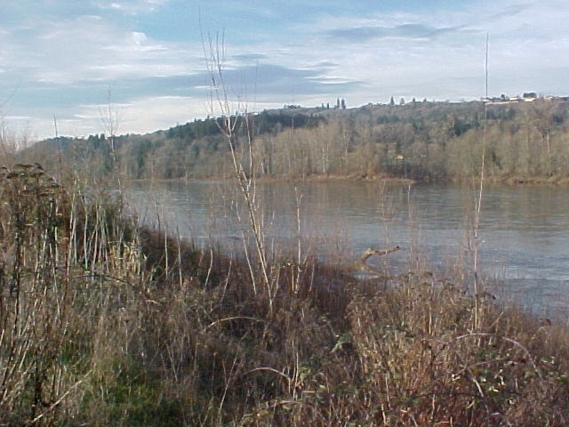 Eola Bend Park river view