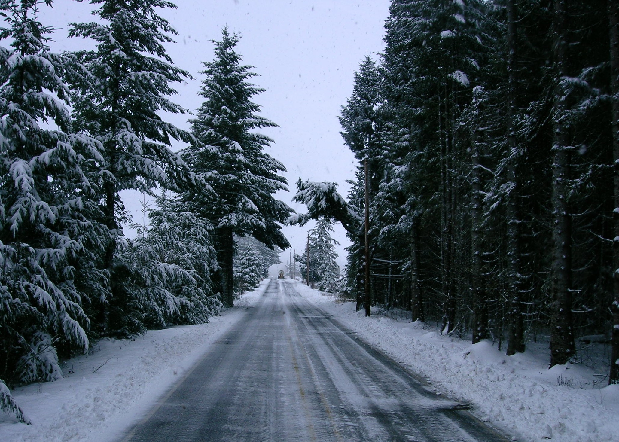 Snow Cleared Road.jpg
