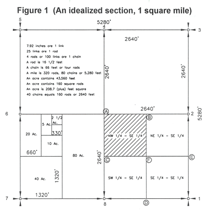 Section Grid